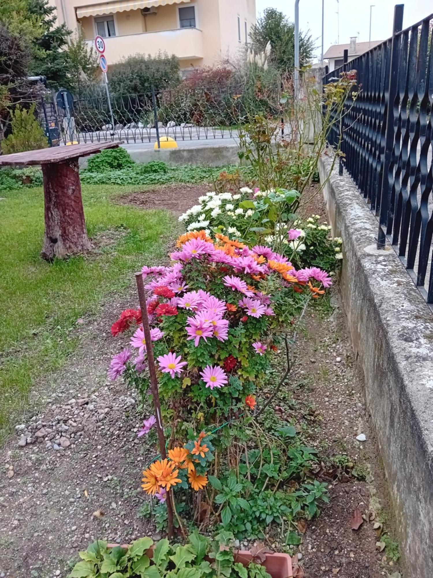 Villa Azzurra Monfalcone Bagian luar foto